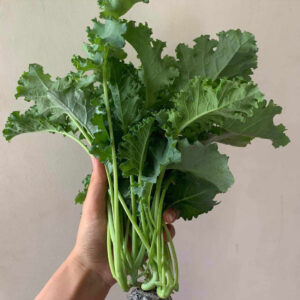 Kale