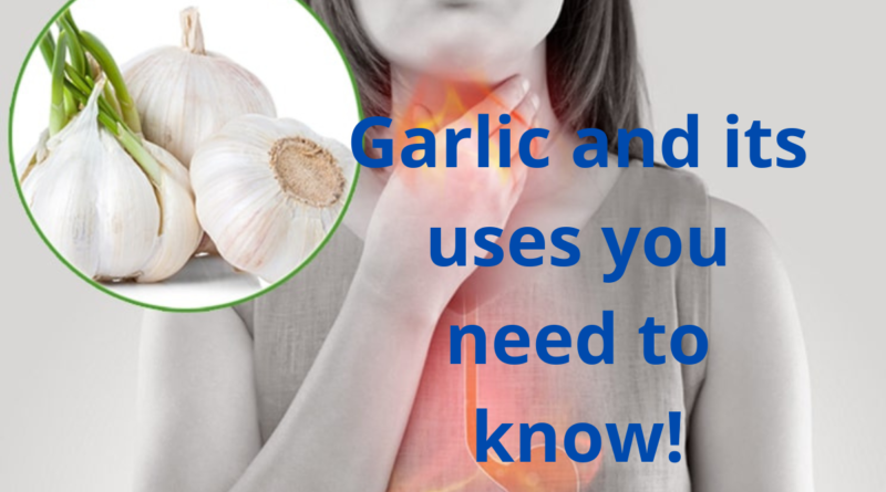 Garlic and its uses you need to know!