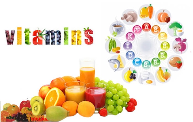 The Role of Vitamins and Minerals in the Daily Diet